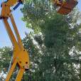 Elektromos karos emelő HA 12 IP Nr. 100 használt